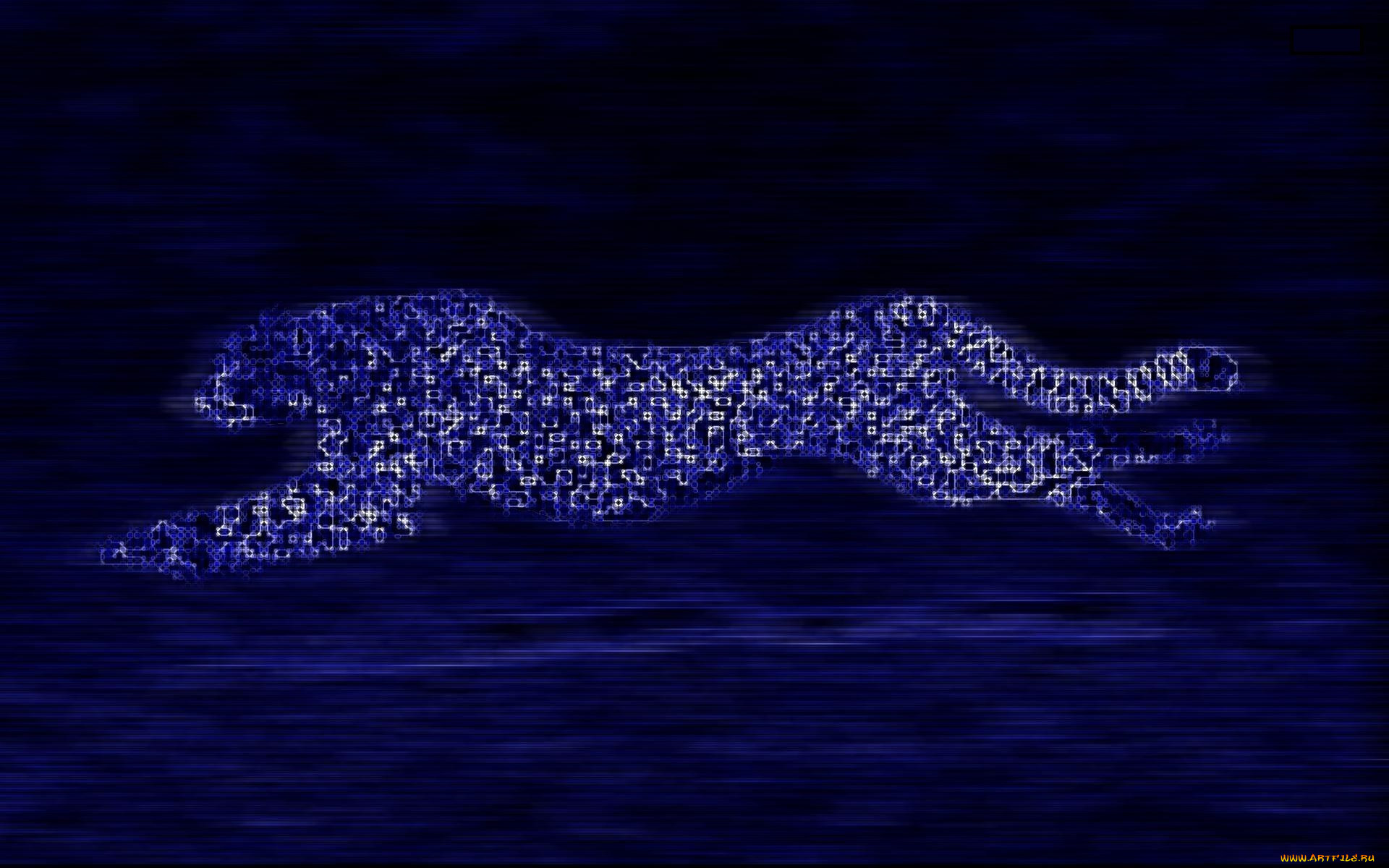 , , , 